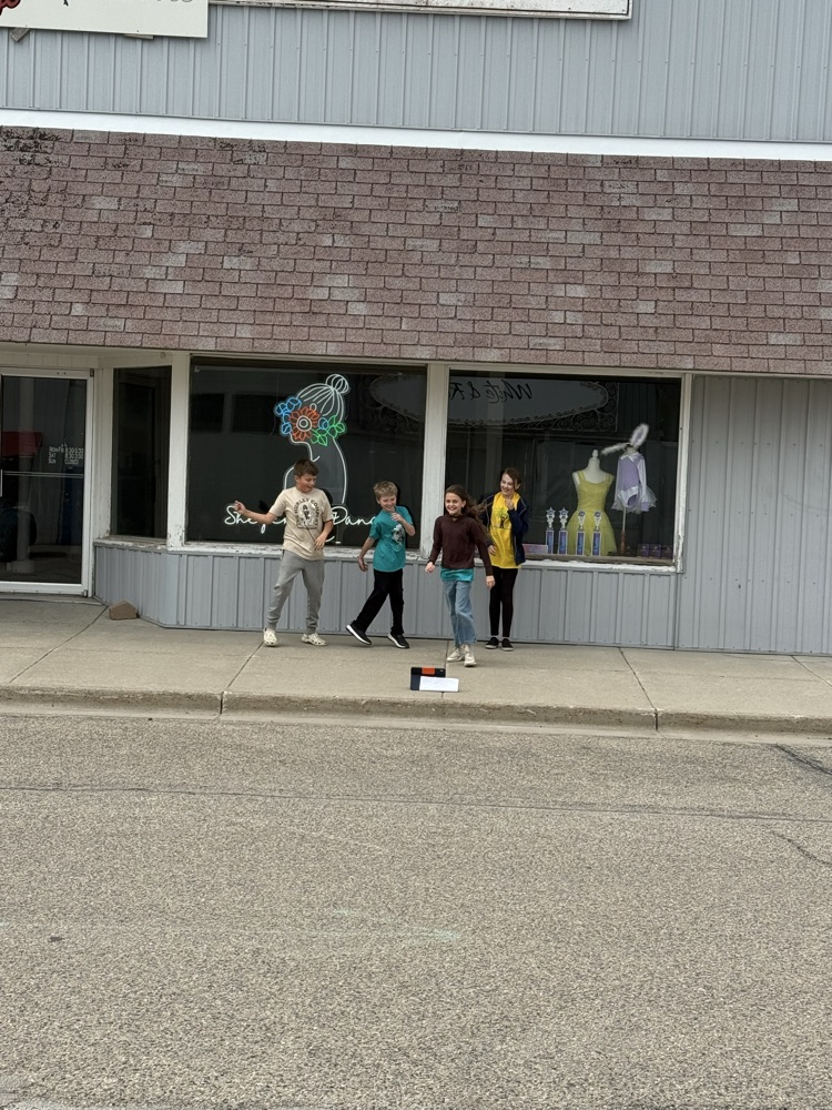 goose Chase