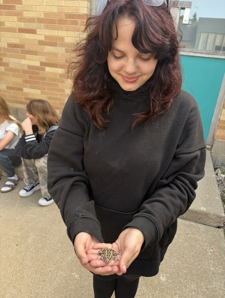 frog 1