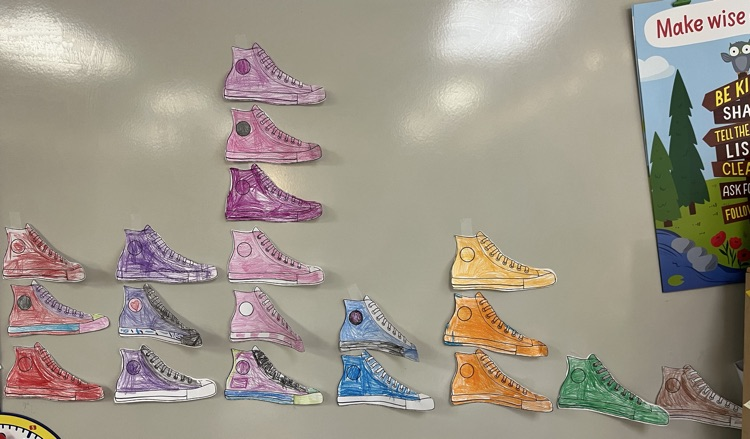 Graph of shoes that students colored  
