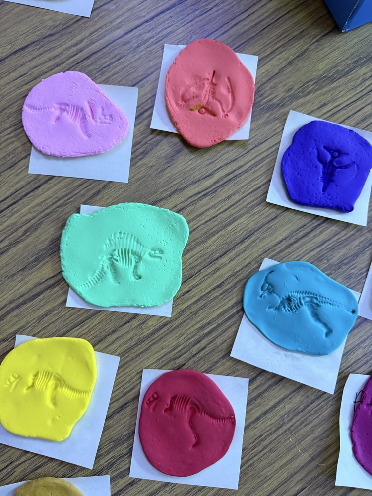 Student made fossils
