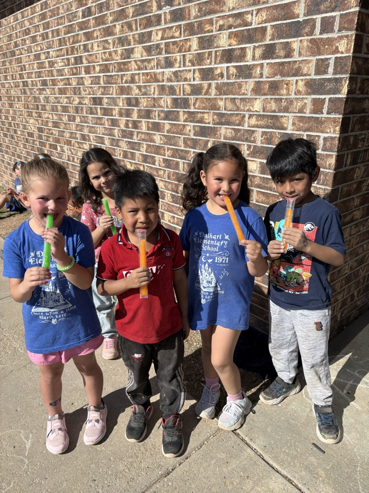 field day
