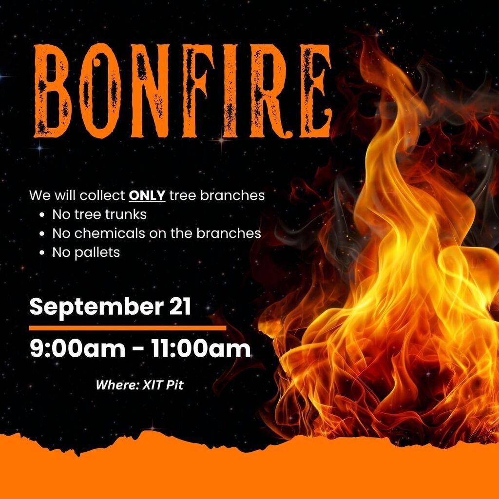 bonfire