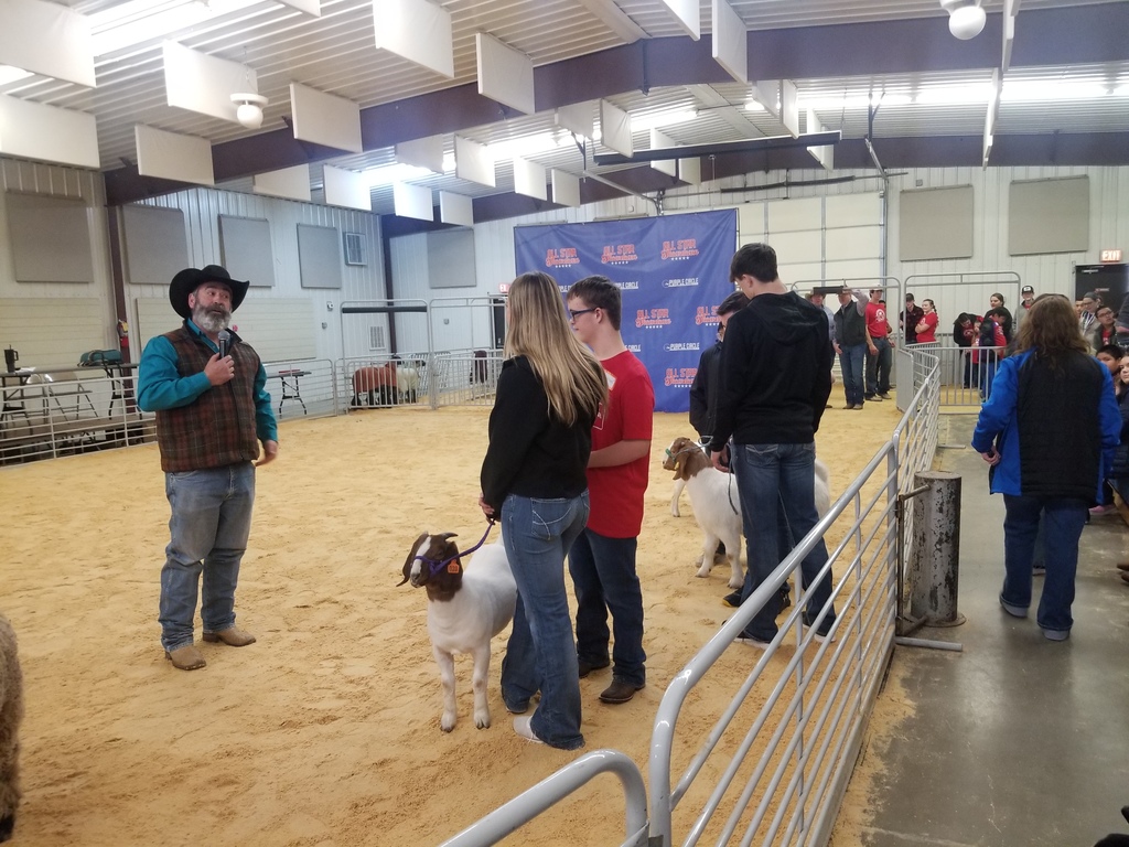 Livestock Show