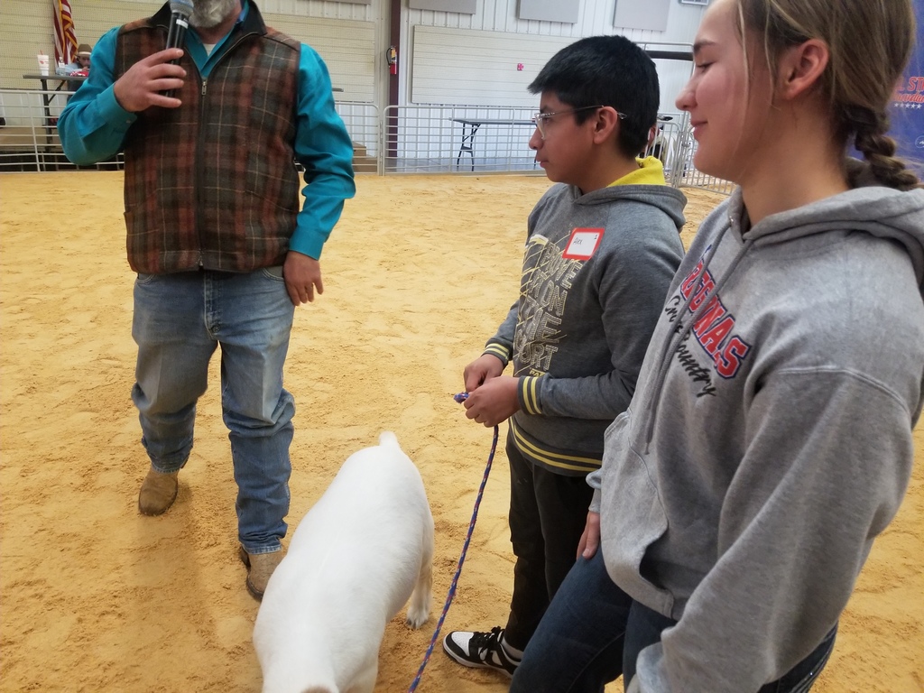 Livestock Show