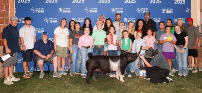 stockshowresults7