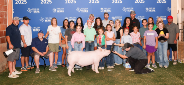 stockshowresults6