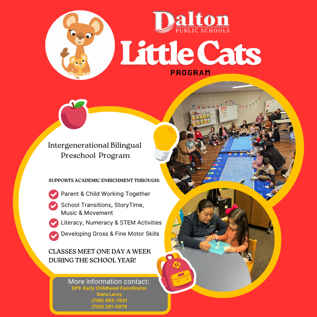 Dalton Public Schools Little Cats Program Enrollment for 2025-2026