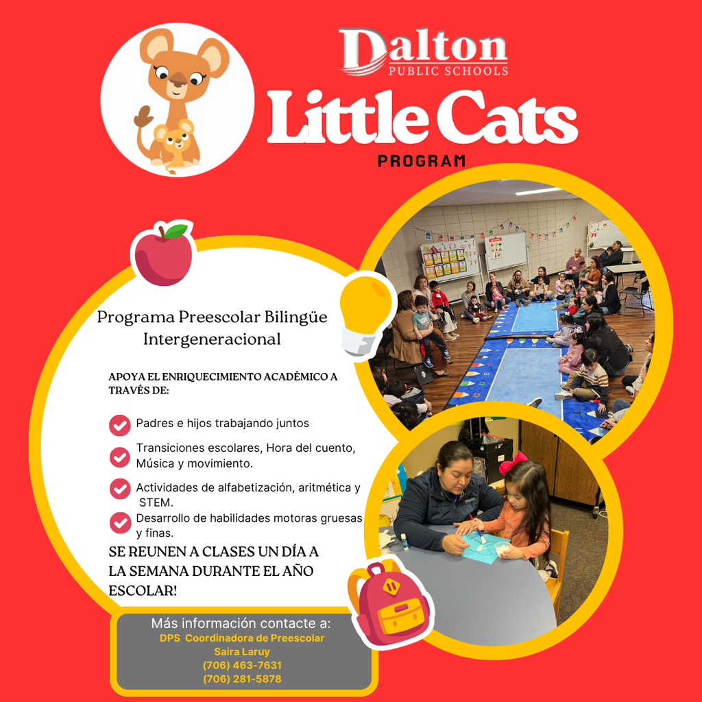 Dalton Public Schools Little Cats Program Enrollment for 2025-2026