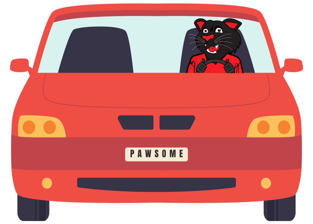PAWs in car