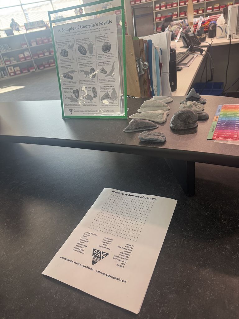 photos of fossil display 