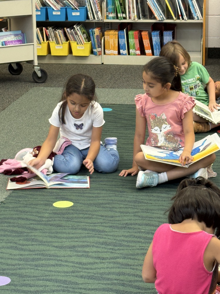 Book Checkout Day