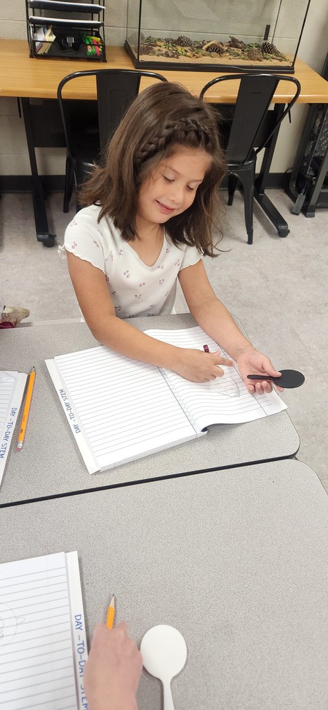 Kindergarten observations