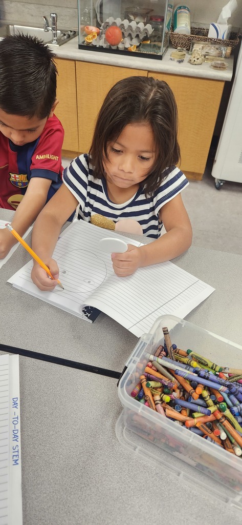 Kindergarten observations