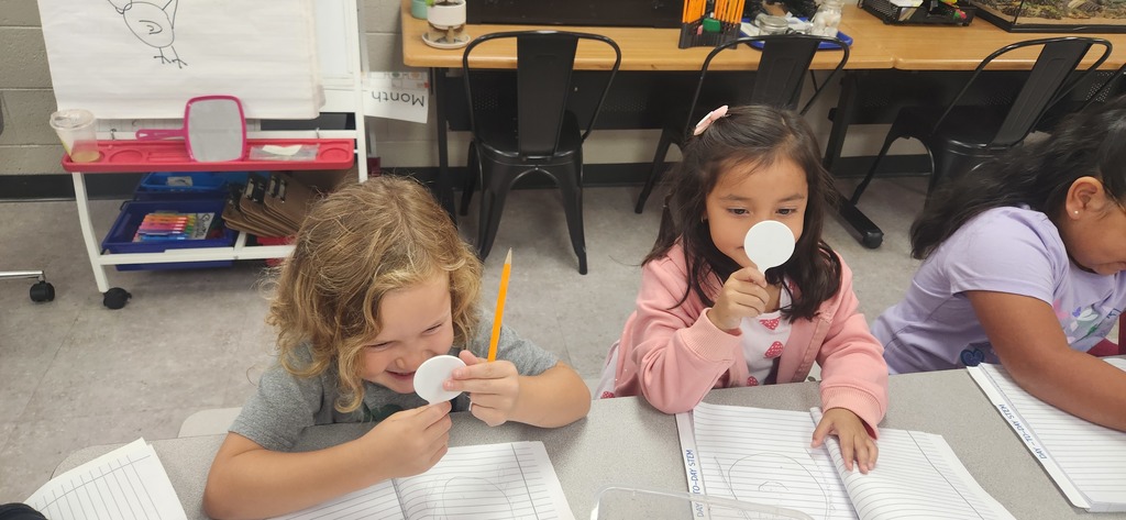 Kindergarten observations