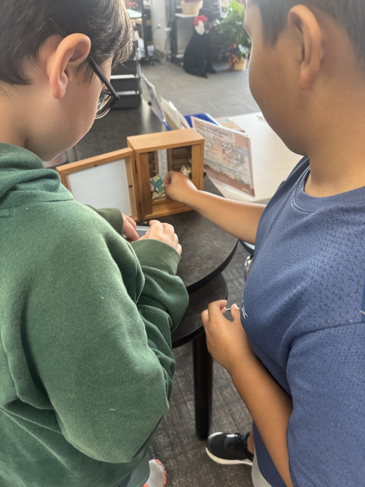 photo of boys at tiny library 
