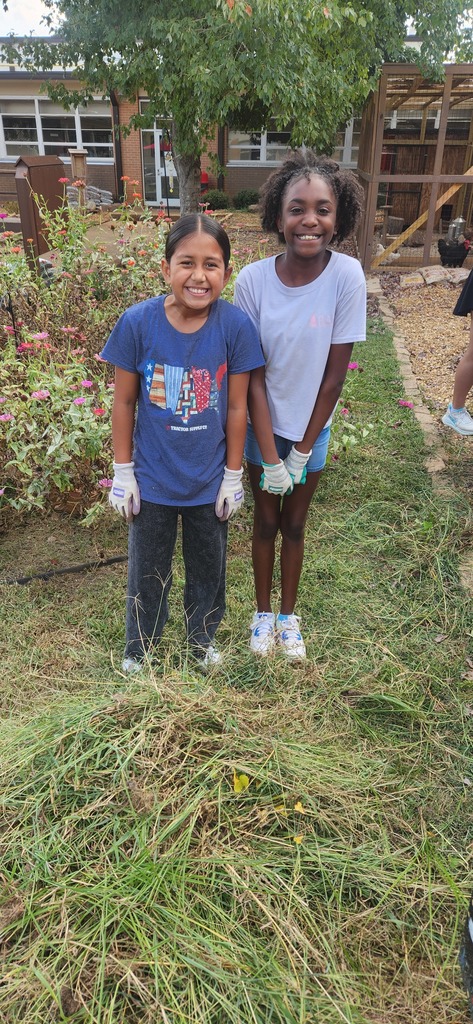 Fifth graders cleaning out their victory gardens
