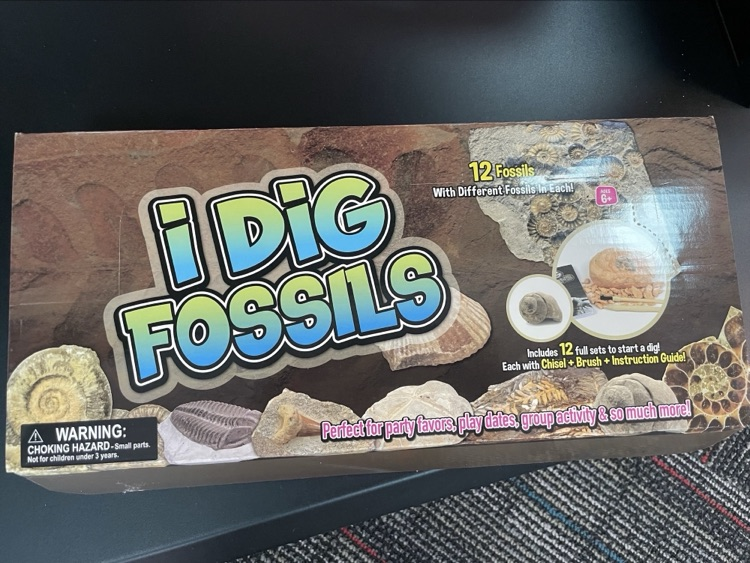 A picture of the Fossils Kit