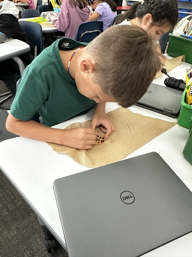 student performing science experiment 