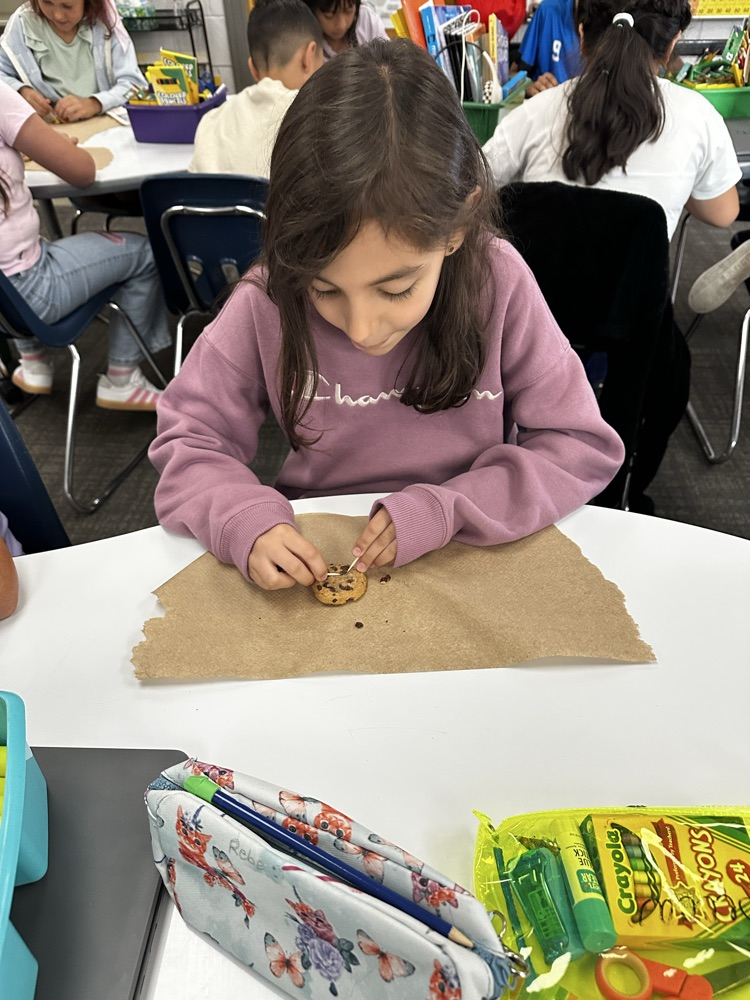 student performing science experiment