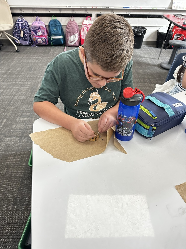 student performing science experiment