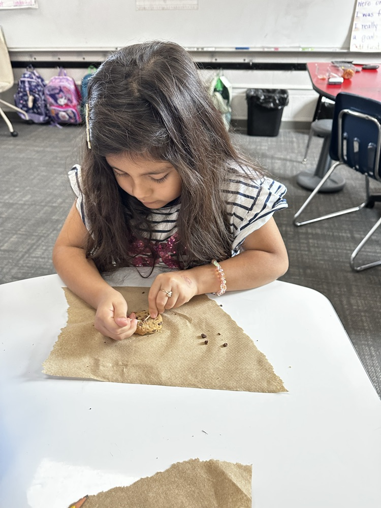 student performing science experiment