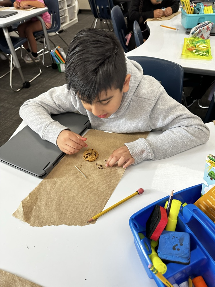 student performing science experiment