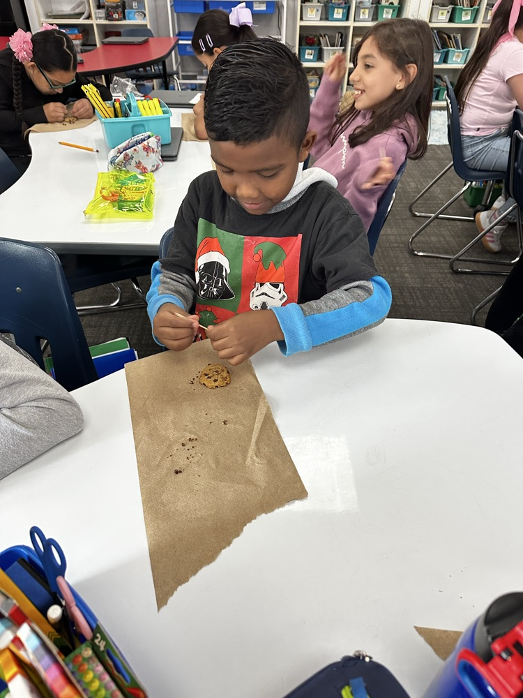 student performing science experiment