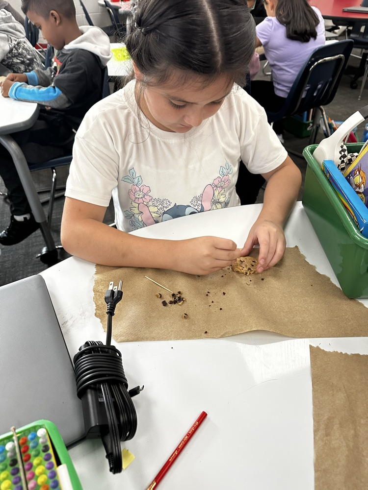 student performing science experiment