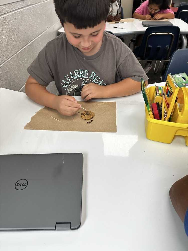 student performing science experiment