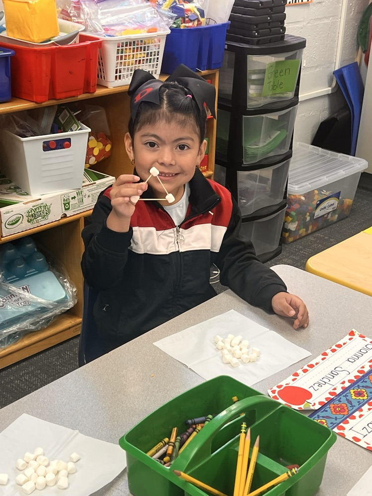students with math activity