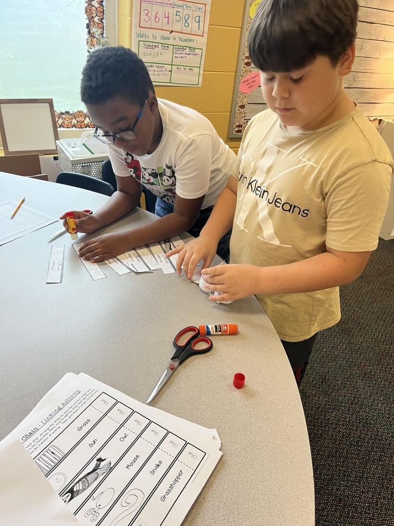 4th grade Food Chains