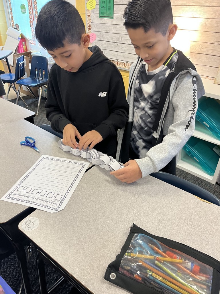 4th grade Food Chains