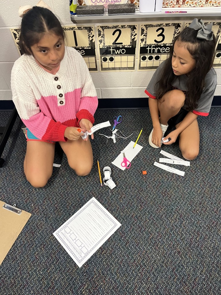 4th grade Food Chains