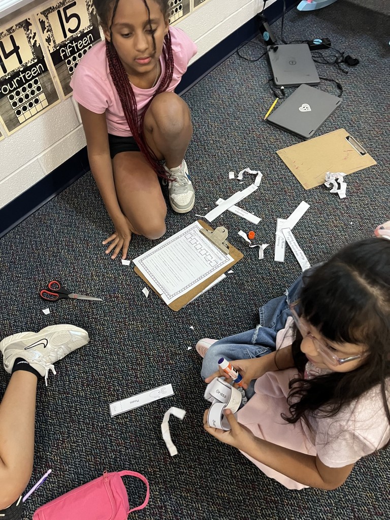 4th grade Food Chains
