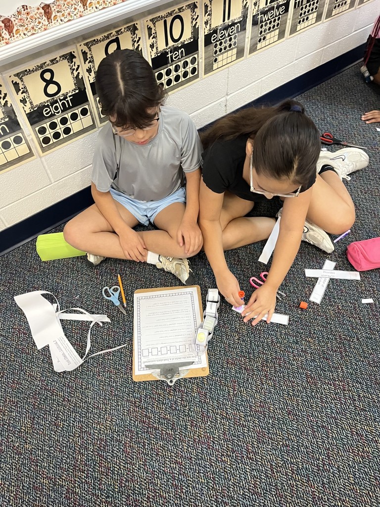 4th grade Food Chains