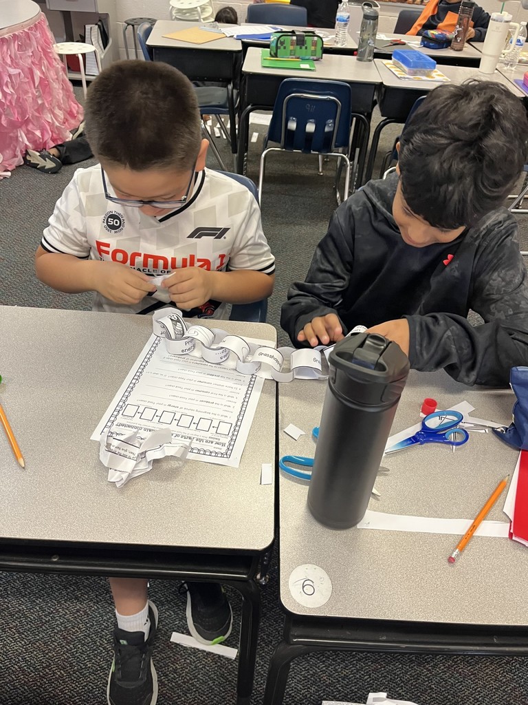 4th grade Food Chains