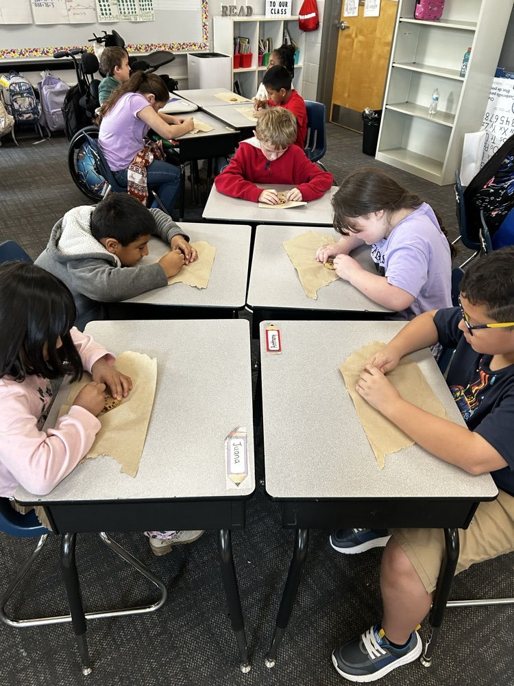 students doing science experiment