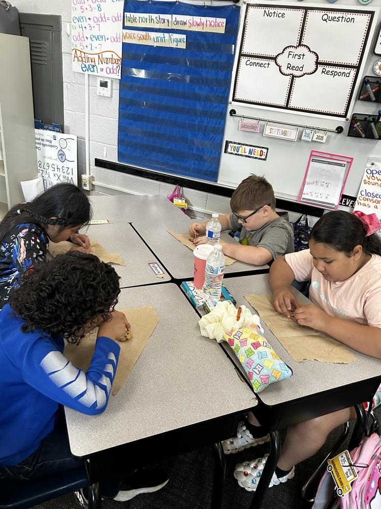 students doing science experiment