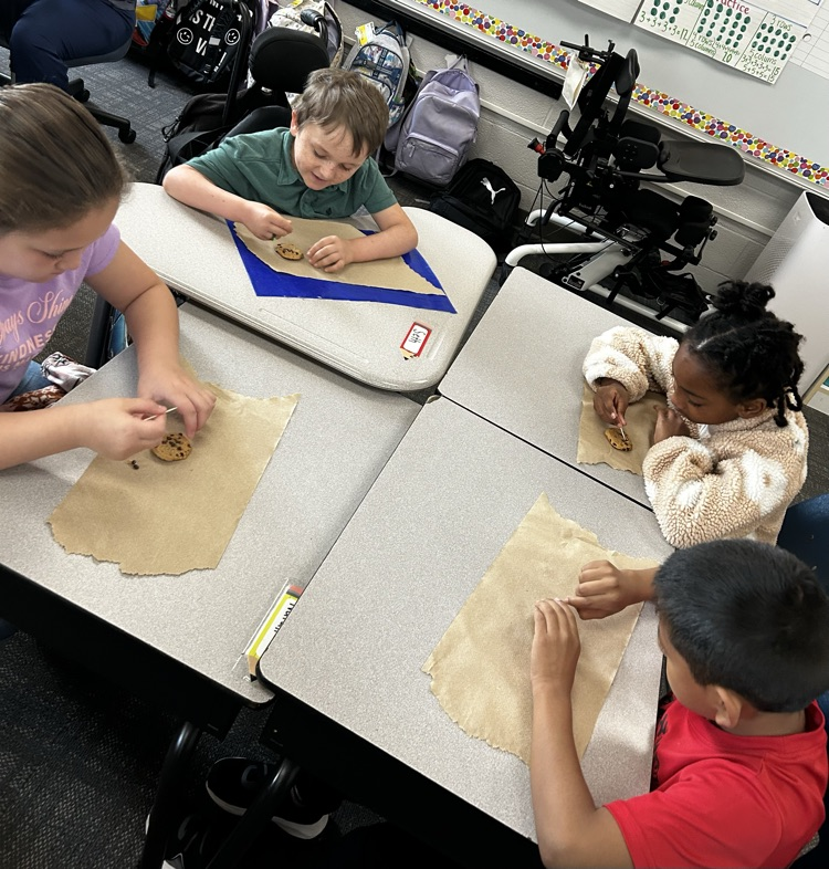 students doing science experiment