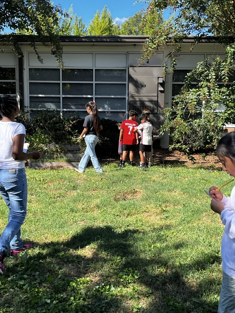 Students making observations 