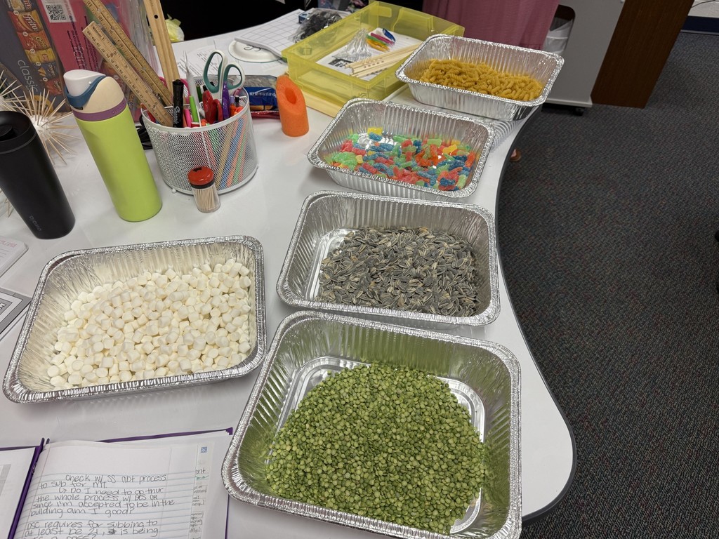 4th grade bird beaks
