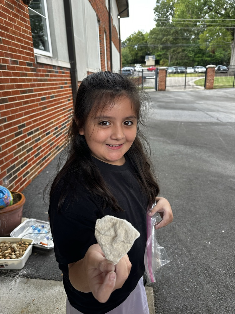 student excavating fossil in classroom