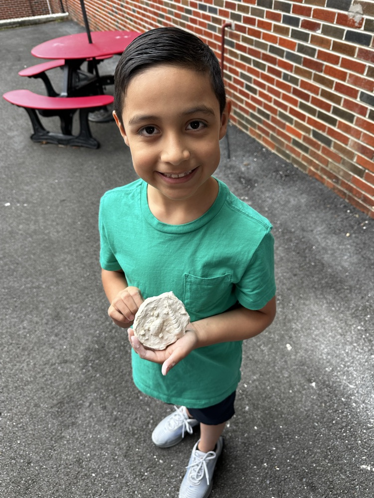 student excavating fossil in classroom