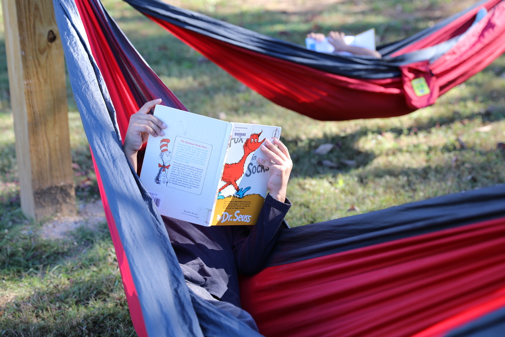 Roan School’s Media Specialist, Mrs. Emily Elliott, created a unique reading experience for her students through a PAGE grant-funded hammock garden. Students are now enjoying books and fresh air in this relaxing outdoor space. 🍁📚