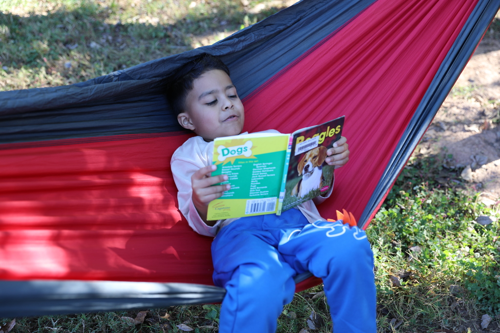 Roan School’s Media Specialist, Mrs. Emily Elliott, created a unique reading experience for her students through a PAGE grant-funded hammock garden. Students are now enjoying books and fresh air in this relaxing outdoor space. 🍁📚