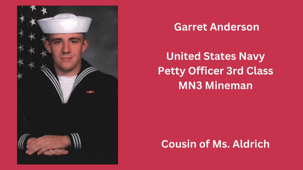 Veterans Day photo and graphic