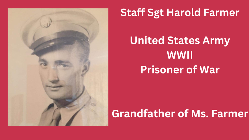 Veterans Day photo and graphic 