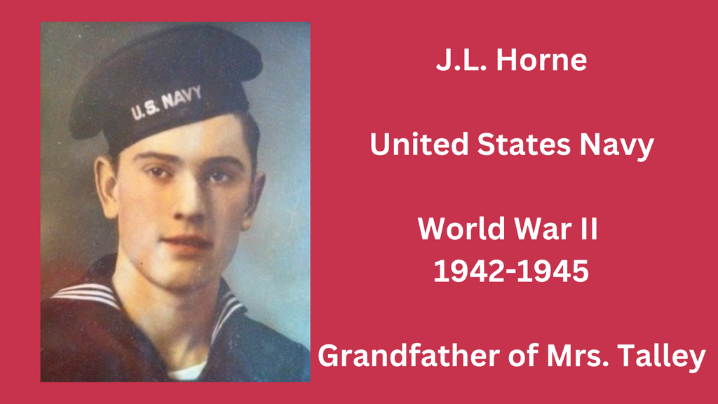 Veterans Day photo and graphic 