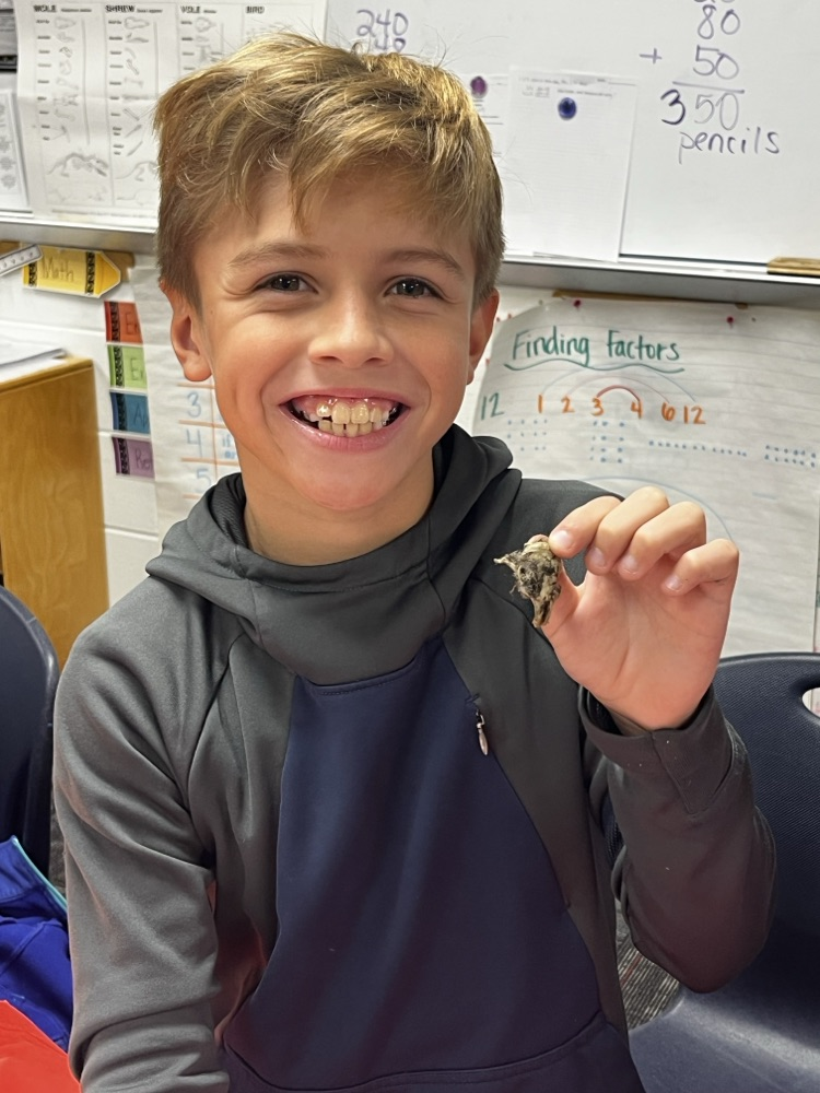 Student showing an owl pellet 