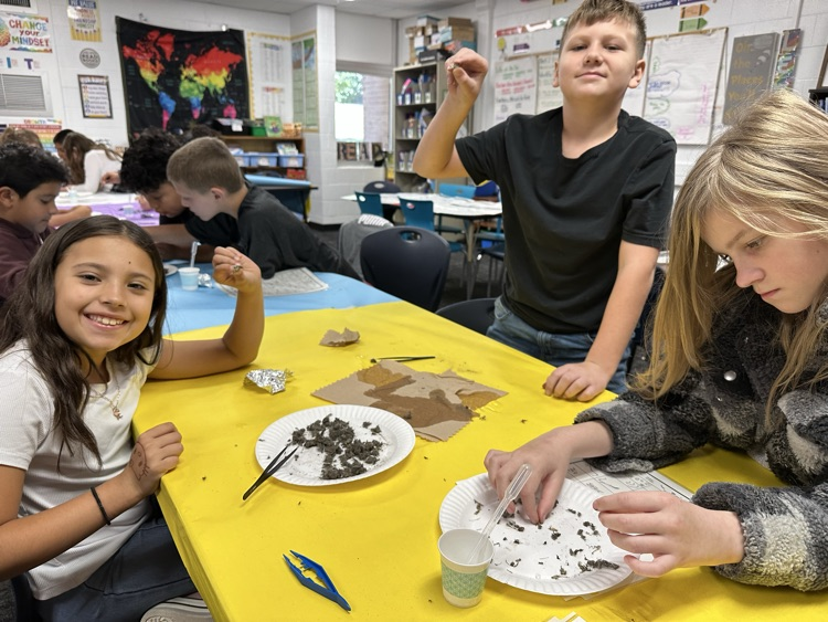 Students showing their owl pellets 